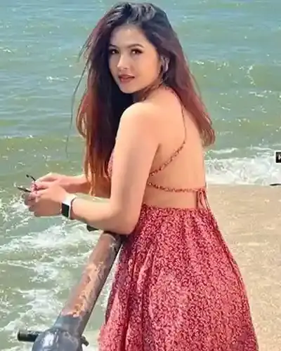 Ludhiana Escort Service