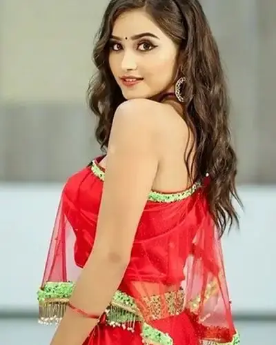 Escort In Ludhiana